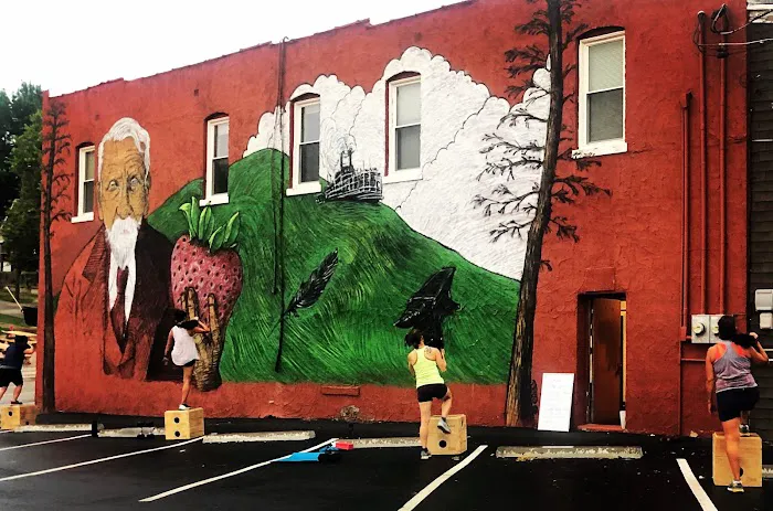 Team Sparkle Fitness Picture 4