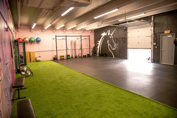 Team Sparkle Fitness Picture 5