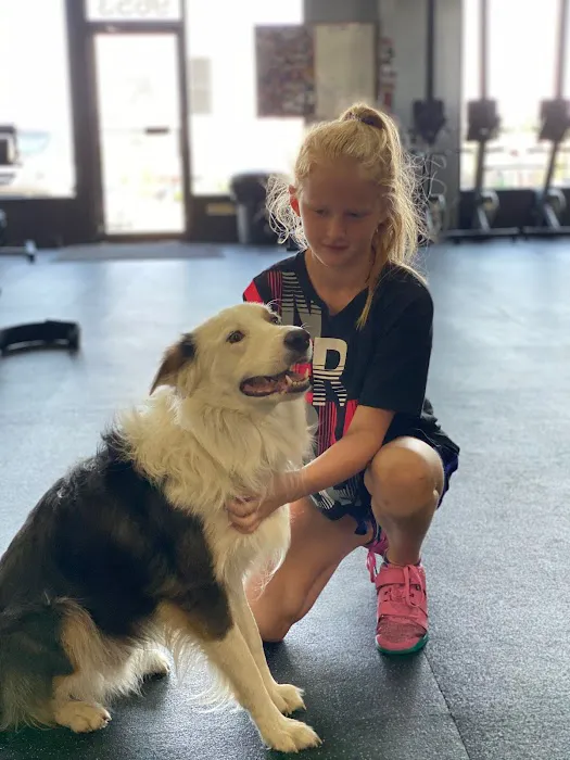 KC Weightlifting Picture 3