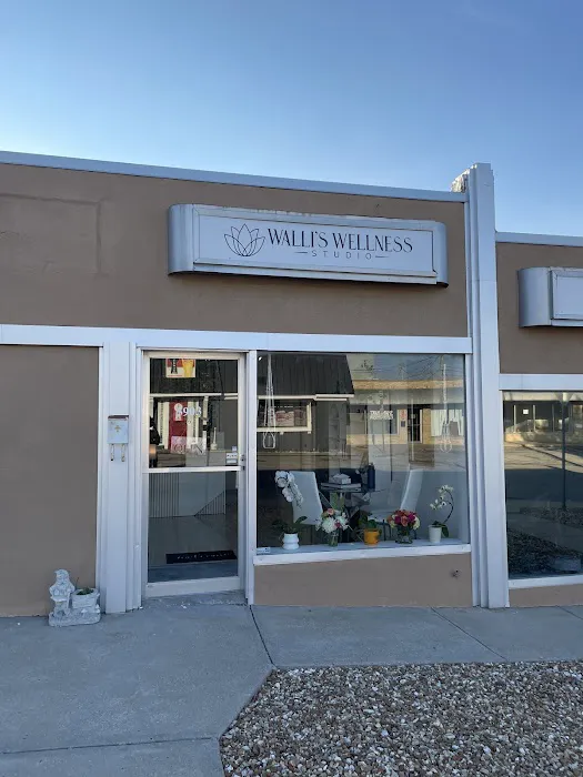 Walli's Wellness Studio Picture 1
