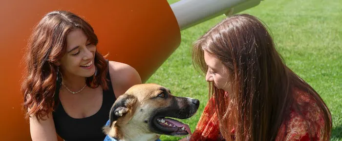 Walli's Wellness Studio Picture 4