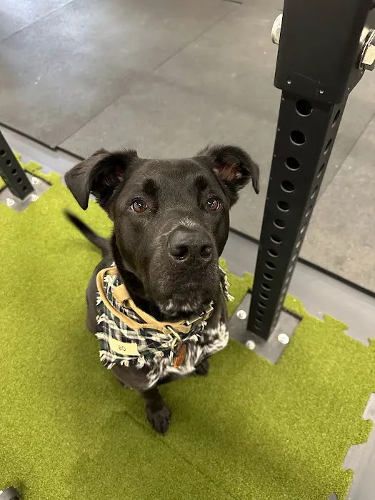 Wellness Warehouse KC Picture 4