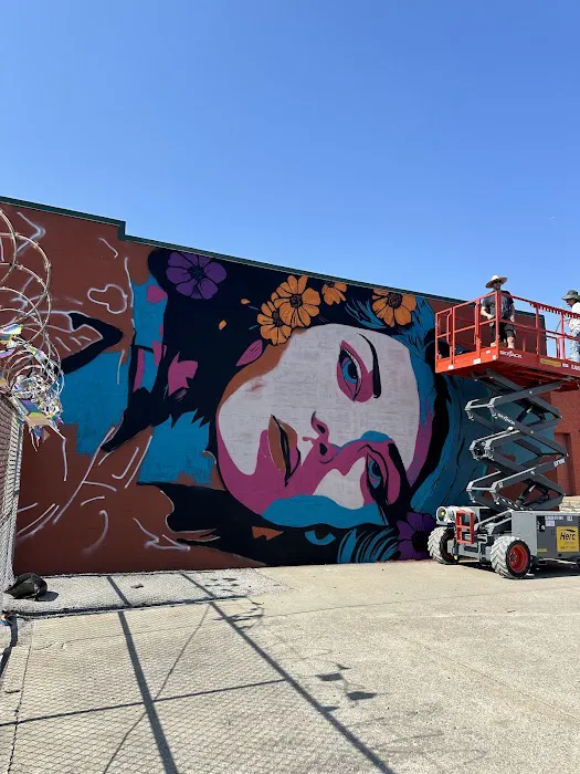 Wellness Warehouse KC Picture 8