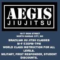 Aegis Jiu Jitsu ico