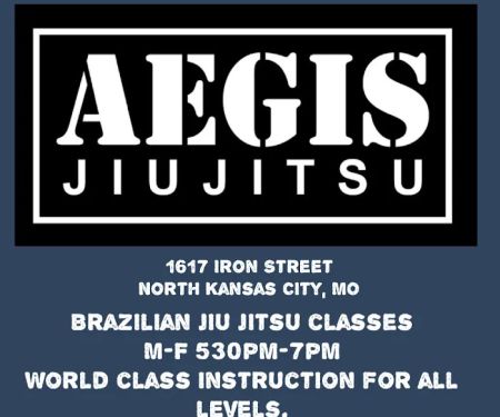 Aegis Jiu Jitsu