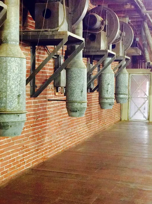 Fit Chick Fitness KC Picture 8