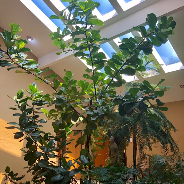 Seeking Solace Yoga Studio Picture 10