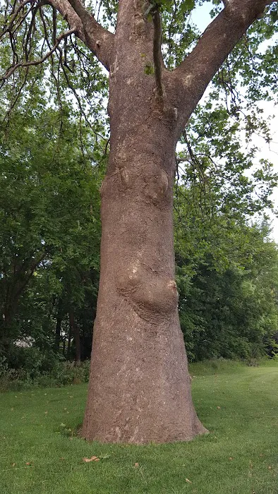 Brookridge Golf & Fitness West 9 Course Picture 3