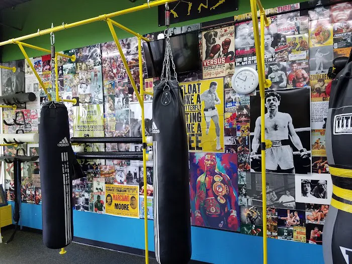 Rock Steady Boxing of Johnson County Parkinson's Exercise Specialists. Picture 2