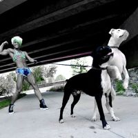 JQ's BFit2 24hr Gym and Fitness ico