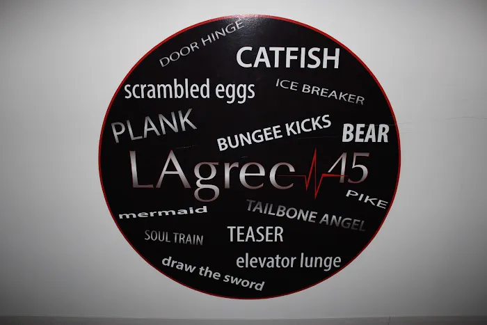 Lagree Pulse 45- KC’s only Elite Lagree Fitness + VersaClimber Studio & TRX-Barre-Yoga-Pilates + Combo Classes Picture 4