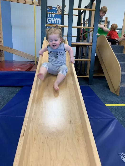 My Gym Children's Fitness Center Picture 3