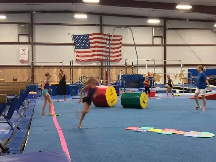 Dave's Gymnastics Factory Picture 2