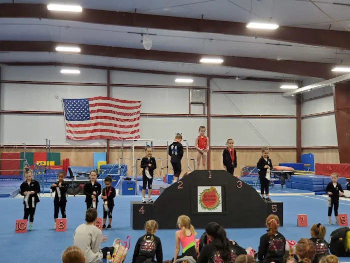 Dave's Gymnastics Factory Picture 8