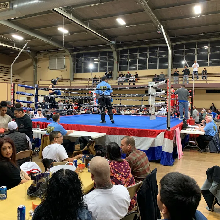 Bricks Boxing Picture 6