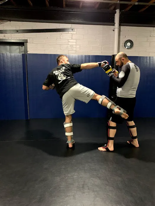 Bricks Boxing Picture 5