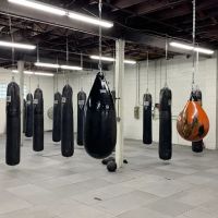 Bricks Boxing ico