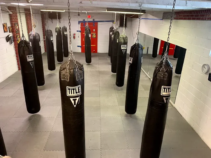 Bricks Boxing Picture 8