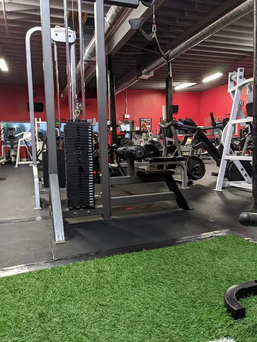 Flex Fitness Gym Picture 7