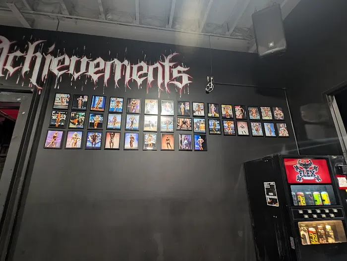 Flex Fitness Gym Picture 4