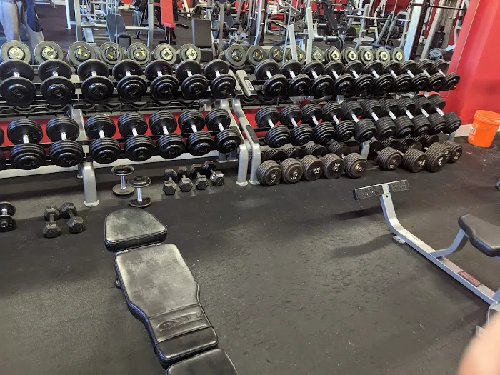 Flex Fitness Gym Picture 2