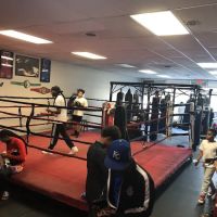 Pound 4 Pound Elite Boxing Academy ico