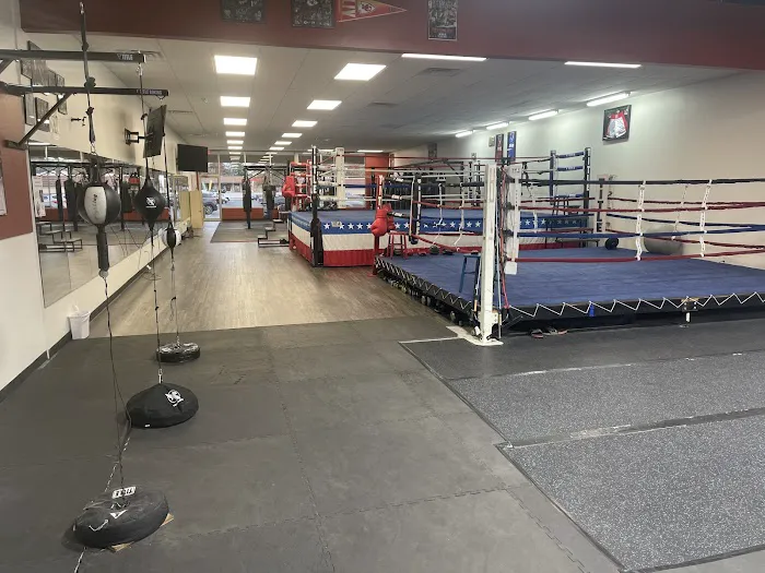 Pound 4 Pound Elite Boxing Academy Picture 2