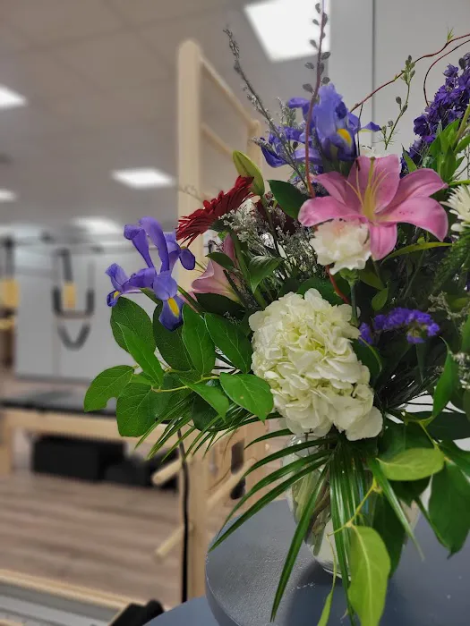 Pneuma Pilates & Wellness Picture 4