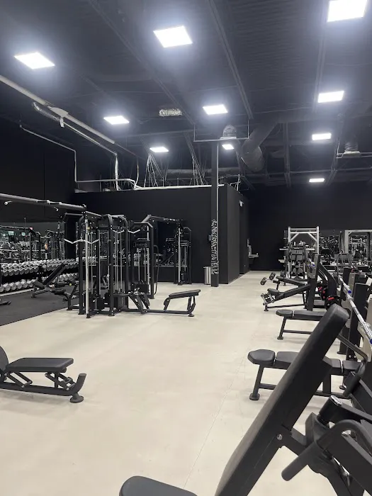 Beastified Gym Picture 6