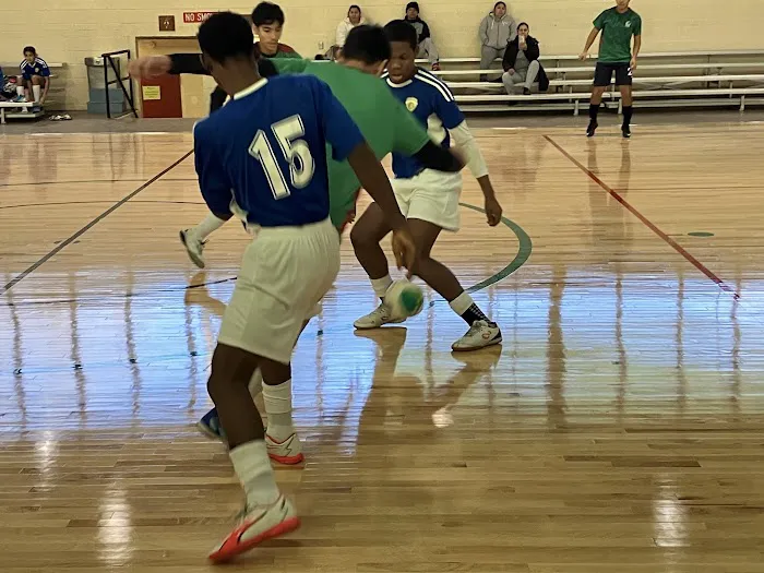 Kensington Gymnasium Picture 6