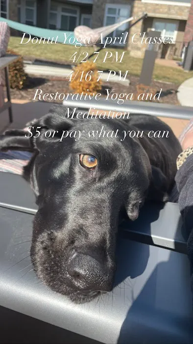Donut Yoga Picture 5