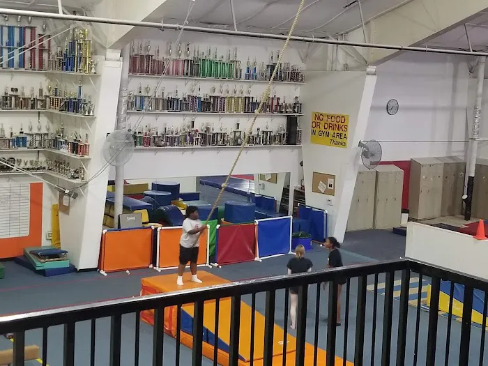 IMPACT GYMNASTICS Picture 3