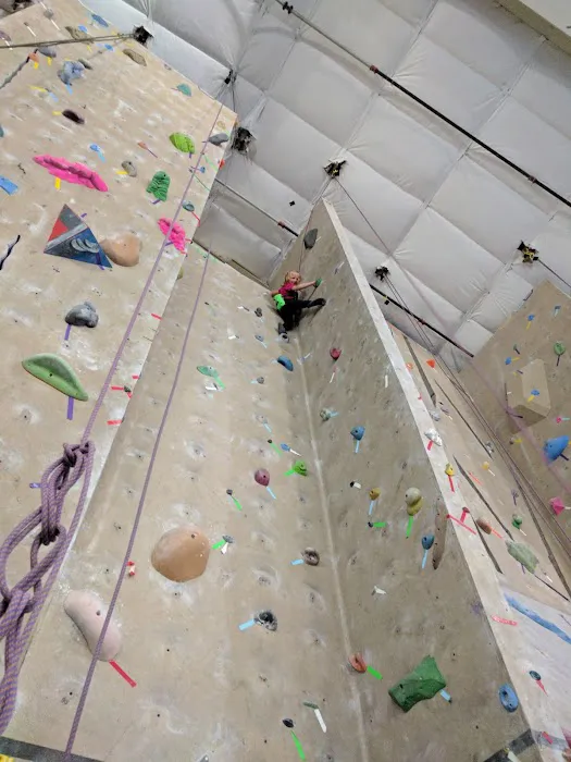 IMPACT GYMNASTICS Picture 4