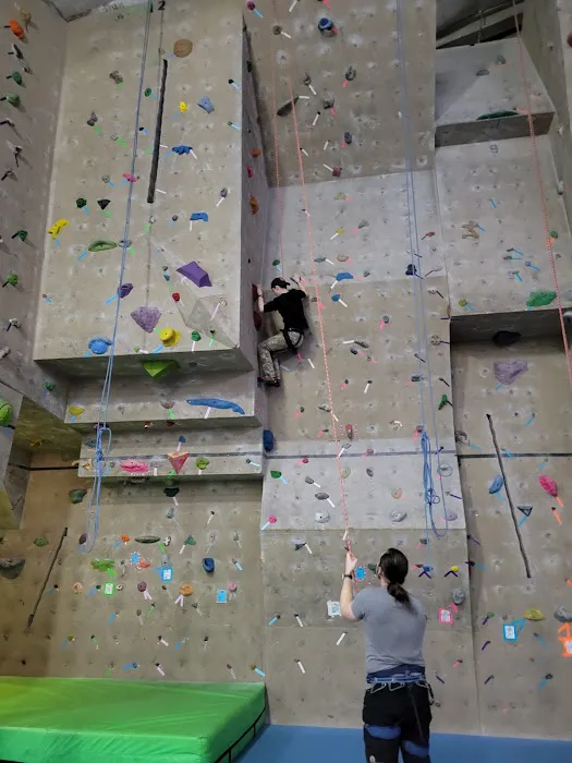 IMPACT GYMNASTICS Picture 10