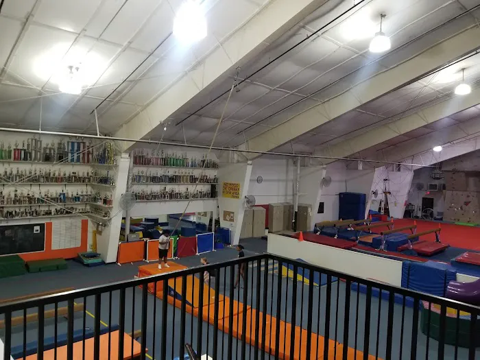 IMPACT GYMNASTICS Picture 9