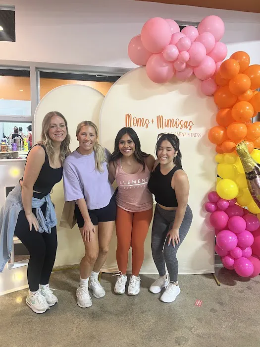 Element Fitness Picture 7