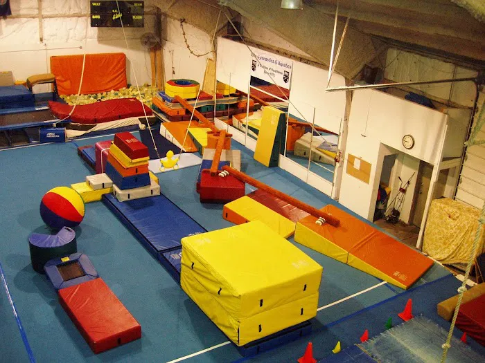 Elite Gymnastics & Aquatics Picture 7