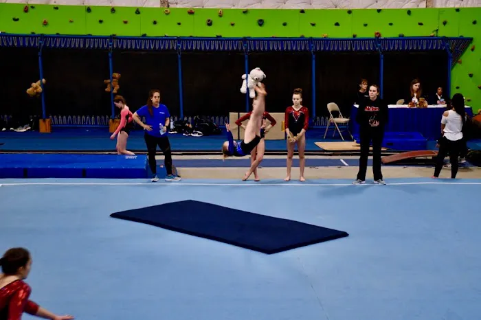 Elite Gymnastics & Aquatics Picture 9