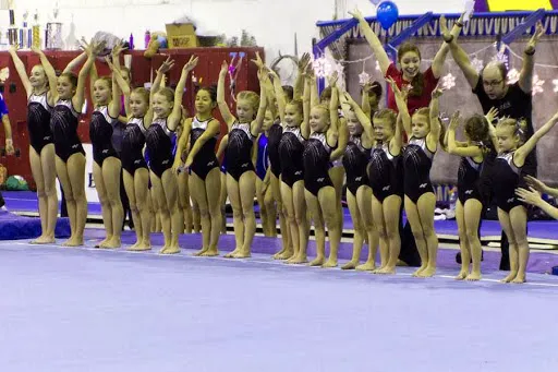 Elite Gymnastics & Aquatics Picture 8