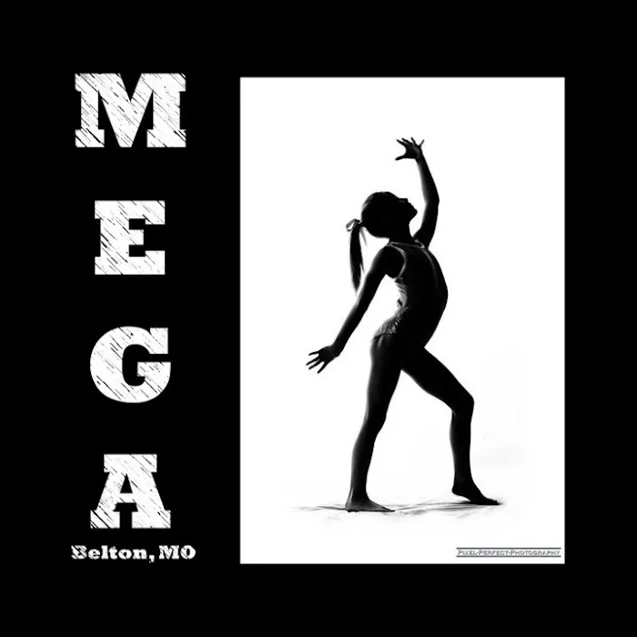 Missouri Elite Gymnastics Academy Picture 2