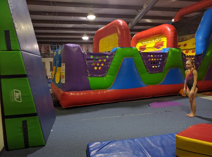 Missouri Elite Gymnastics Academy Picture 3