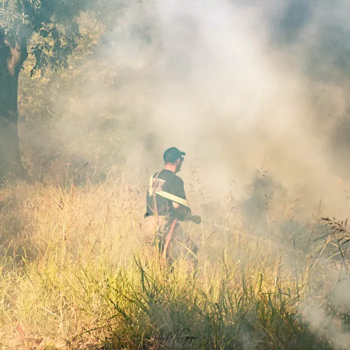 Barton-Ross Complex Picture 1