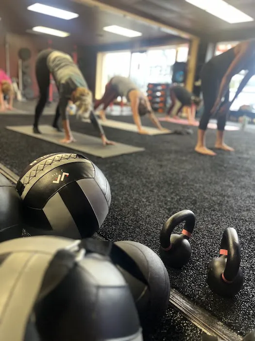 Very Fit Co. Picture 5