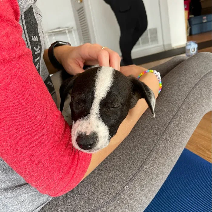 Wyld Roots Picture 3