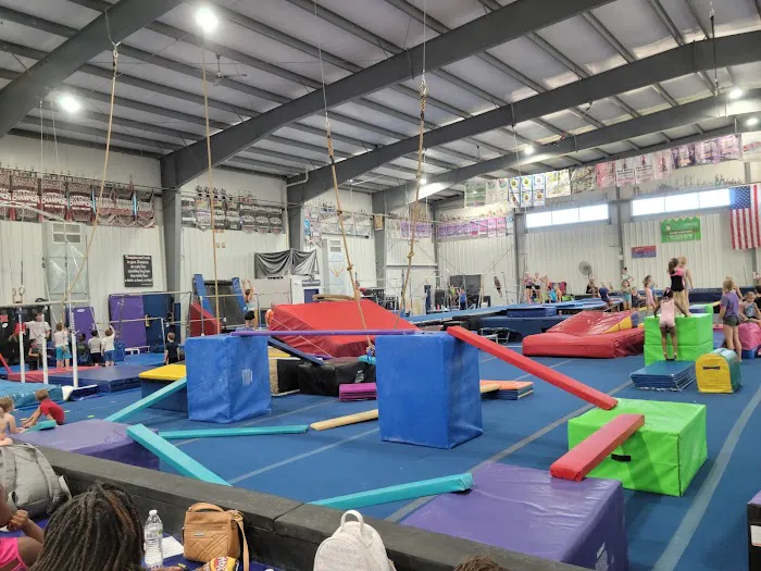 EDGE Gymnastics Picture 3