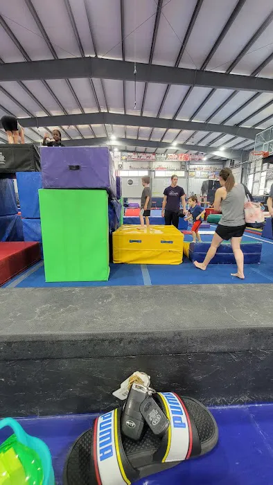 EDGE Gymnastics Picture 5