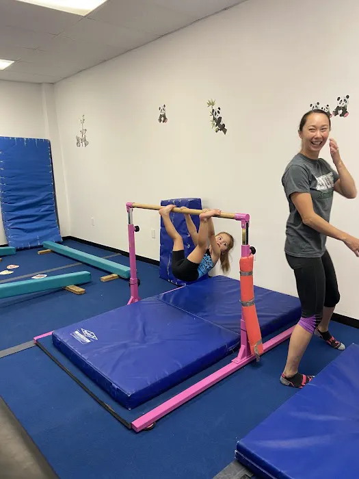 EDGE Gymnastics Picture 4