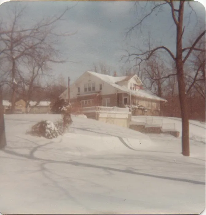 Gardens of Delight Picture 3