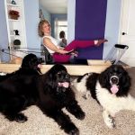 Newfluent Pilates