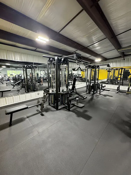 TR Fitness Peculiar Picture 2